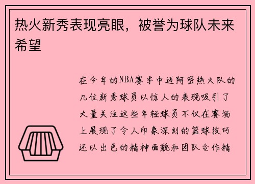 热火新秀表现亮眼，被誉为球队未来希望